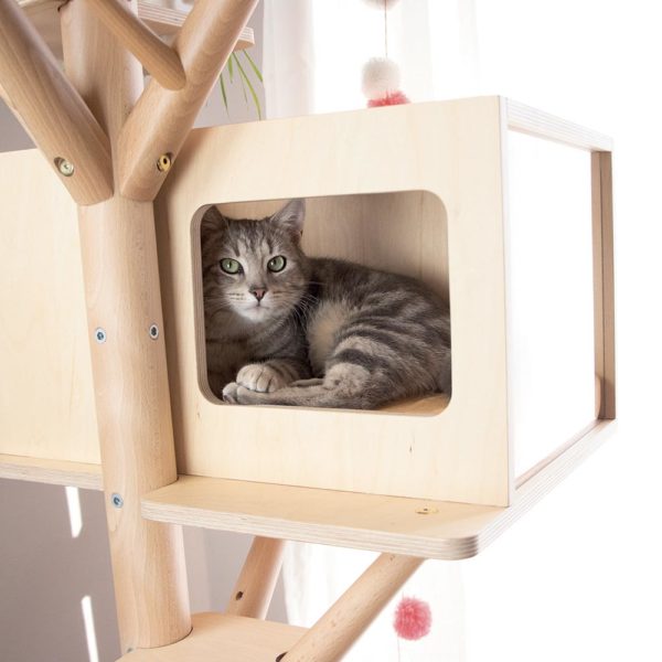 Arbre à chat design en bois avec cabane pour chat