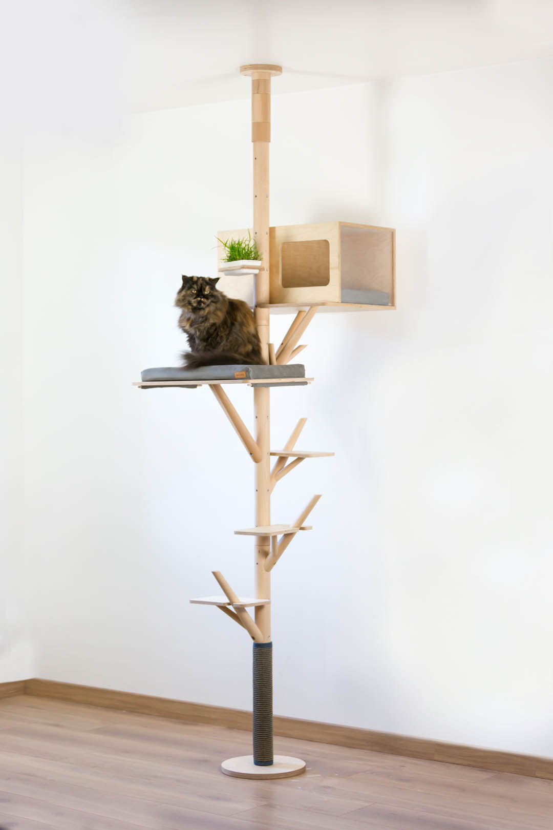 Arbre A Chat Scandinave Kit Complet Eden Mitaine