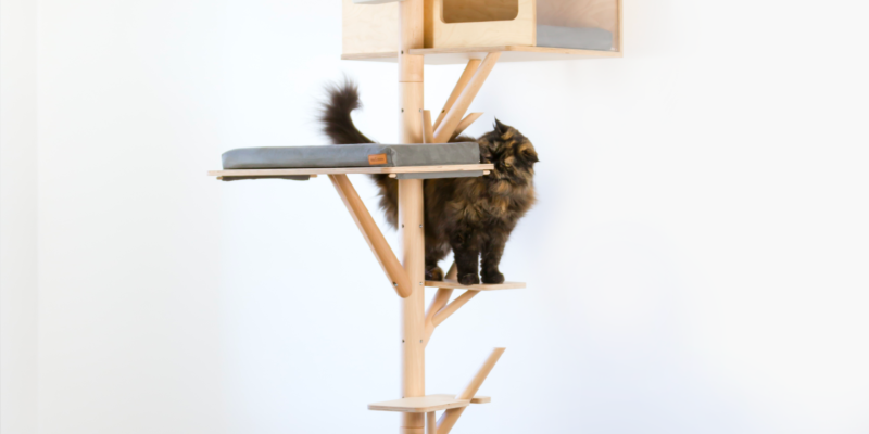 Arbre à chat au design scandinave avec Eden chat persan